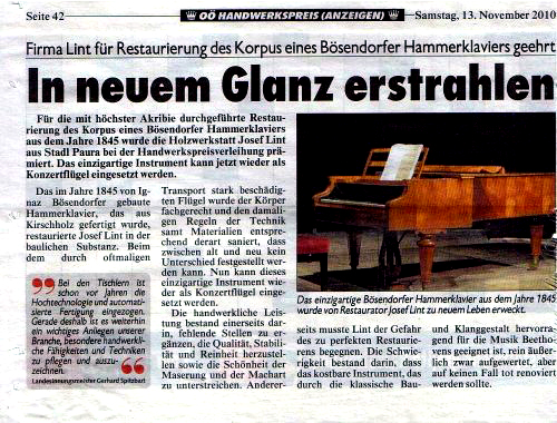 Kronenzeitung 2010